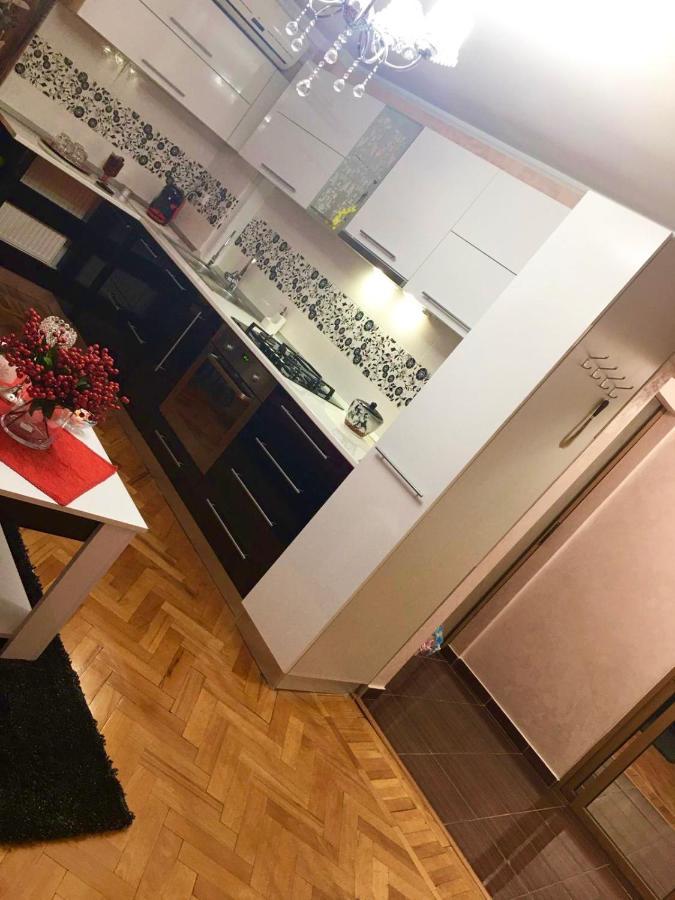 Tribunal Apartament Langa Faleza Dunarii 布勒伊拉 外观 照片