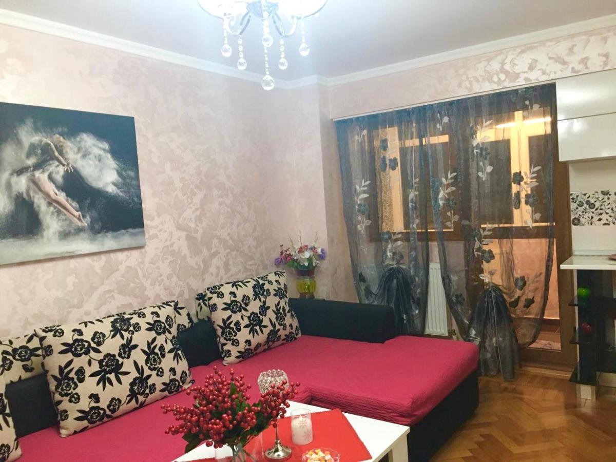 Tribunal Apartament Langa Faleza Dunarii 布勒伊拉 外观 照片