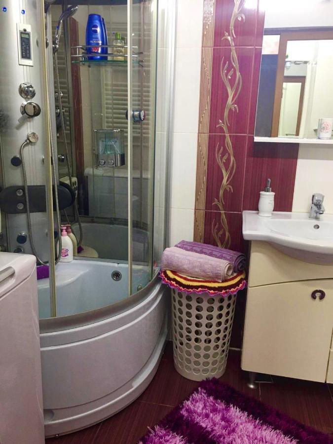 Tribunal Apartament Langa Faleza Dunarii 布勒伊拉 外观 照片