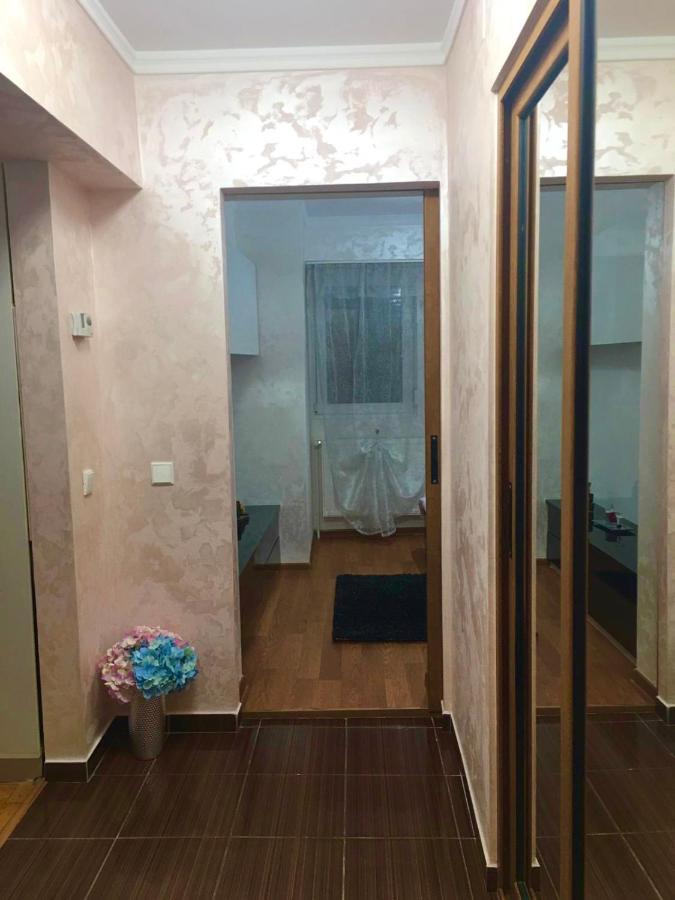Tribunal Apartament Langa Faleza Dunarii 布勒伊拉 外观 照片
