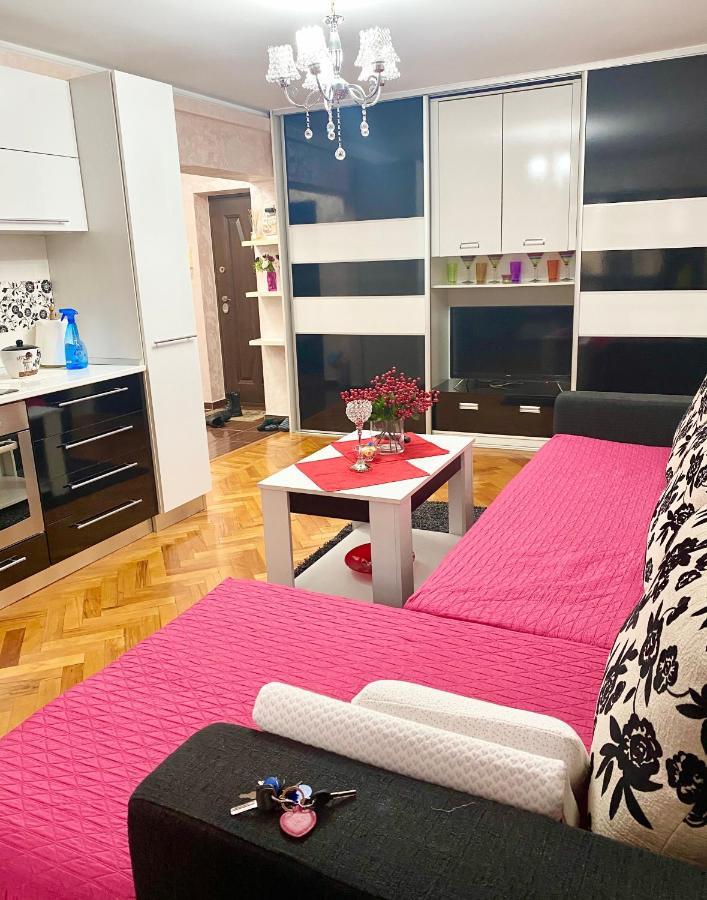 Tribunal Apartament Langa Faleza Dunarii 布勒伊拉 外观 照片