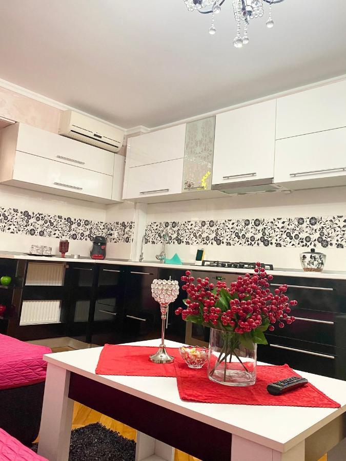 Tribunal Apartament Langa Faleza Dunarii 布勒伊拉 外观 照片