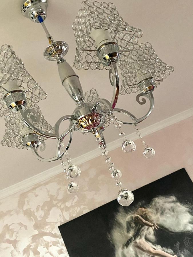 Tribunal Apartament Langa Faleza Dunarii 布勒伊拉 外观 照片