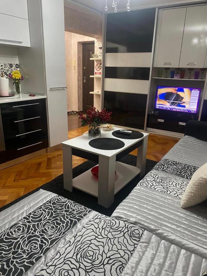 Tribunal Apartament Langa Faleza Dunarii 布勒伊拉 外观 照片