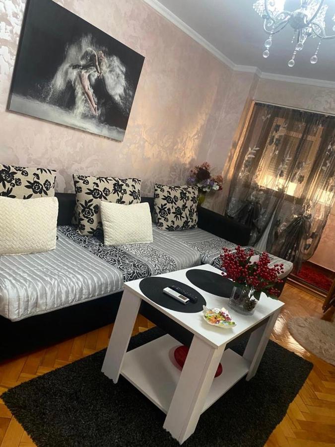 Tribunal Apartament Langa Faleza Dunarii 布勒伊拉 外观 照片