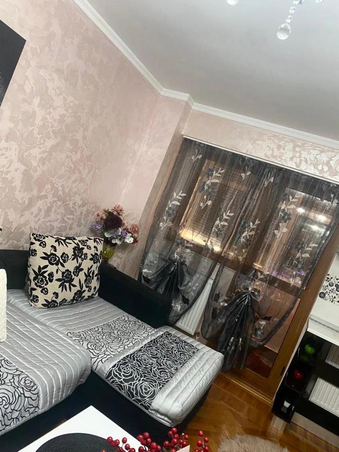 Tribunal Apartament Langa Faleza Dunarii 布勒伊拉 外观 照片