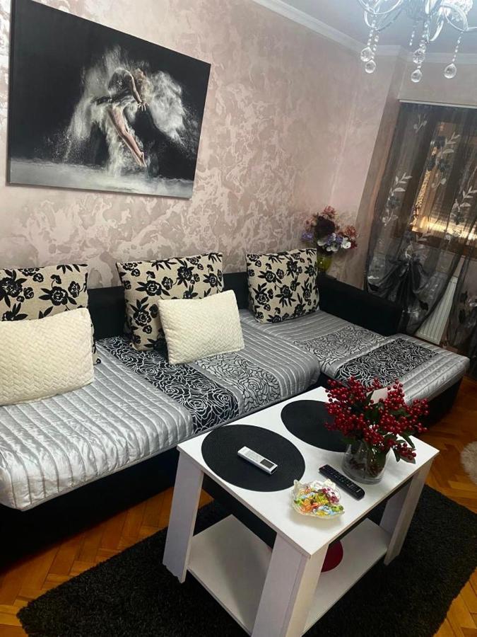 Tribunal Apartament Langa Faleza Dunarii 布勒伊拉 外观 照片