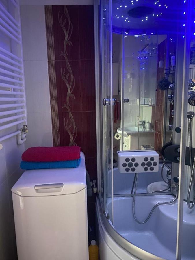 Tribunal Apartament Langa Faleza Dunarii 布勒伊拉 外观 照片